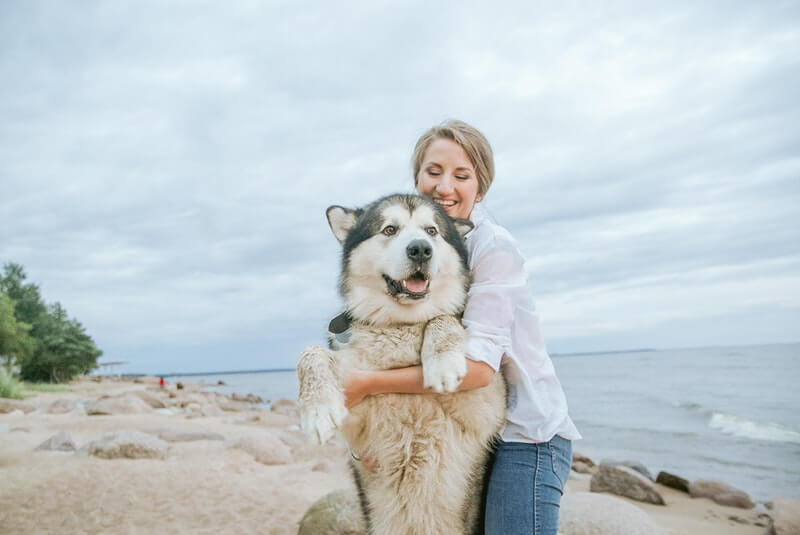 a woman hugging a siberian husky, pet friendly sober living, pet friendly sober living los angeles, pet friendly sober living california, pet friendly sober living near me