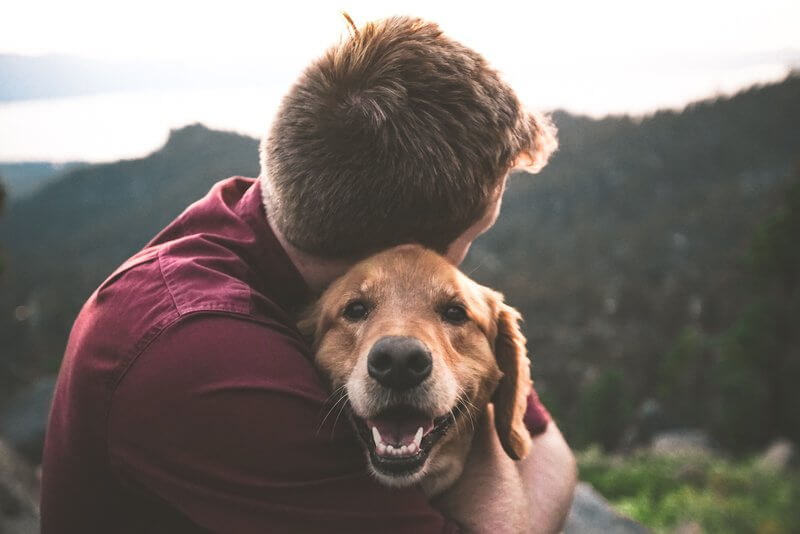 close up image showing a man hugging a dog, pet friendly sober living, pet friendly sober living los angeles, pet friendly