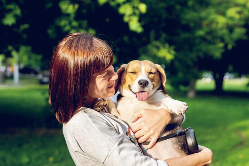 woman in grey sweater carrying a dog, pet friendly sober living, pet friendly sober living los angeles