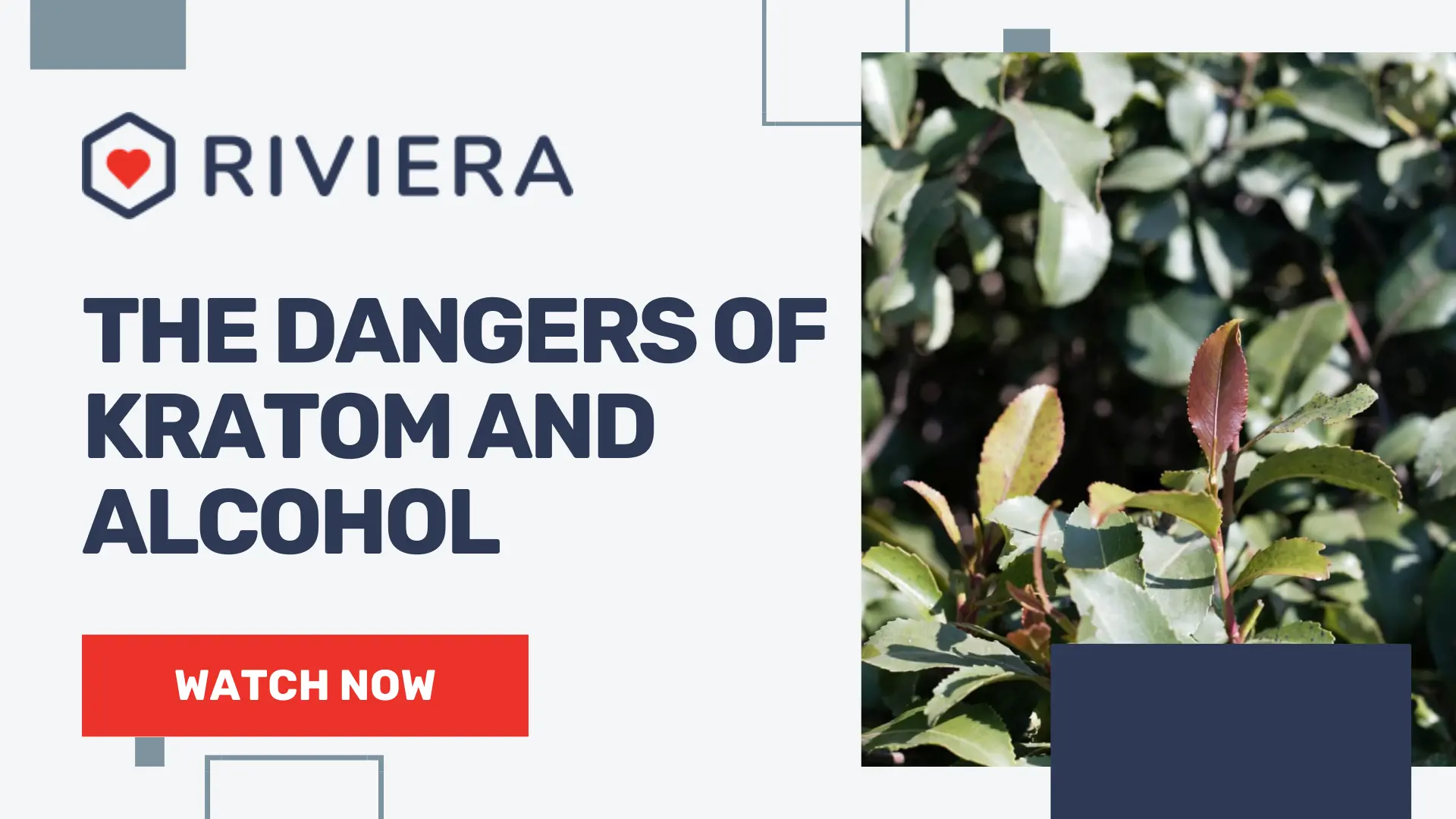 the dangers of alcohol and kratom