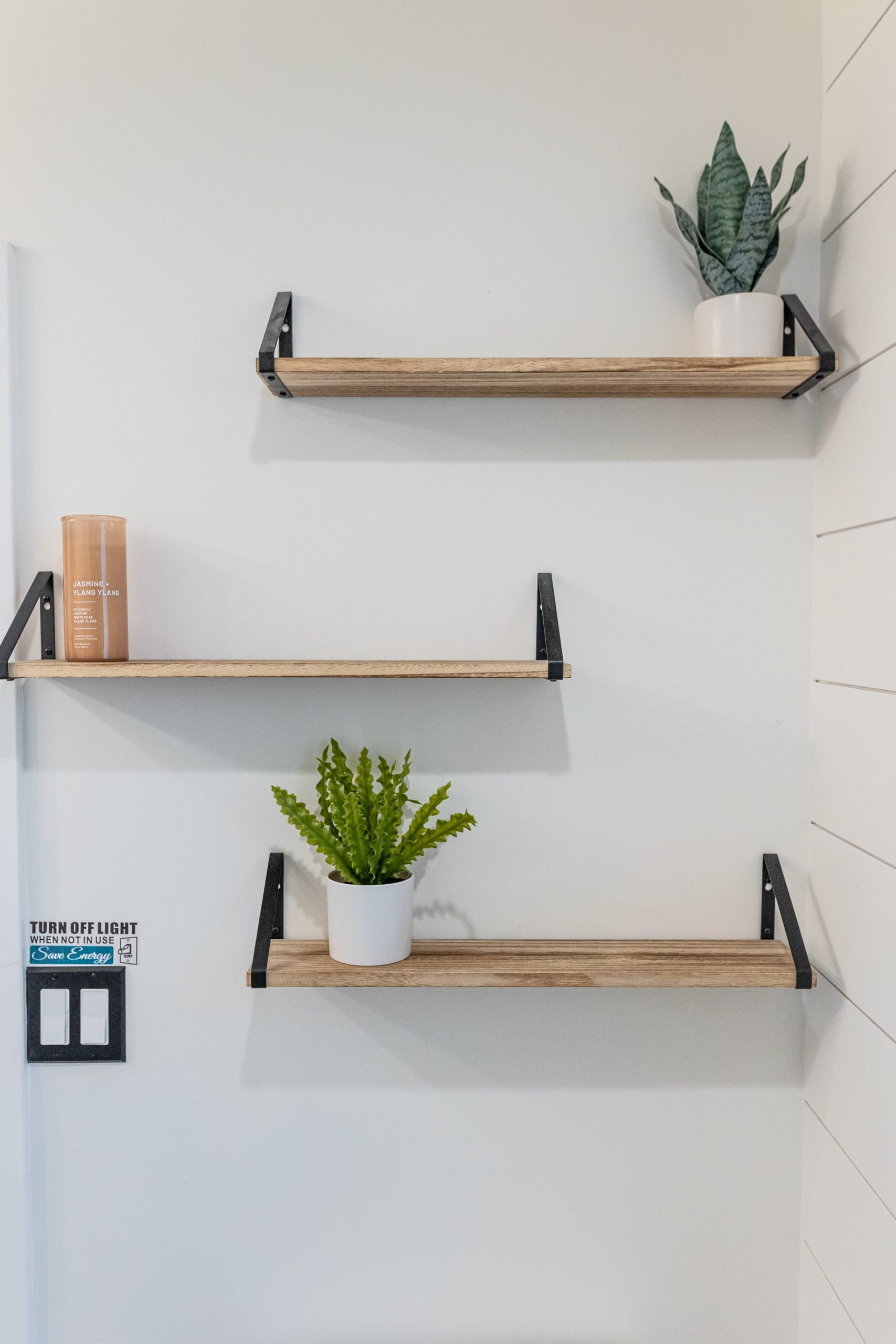 three decorative shelves with plants